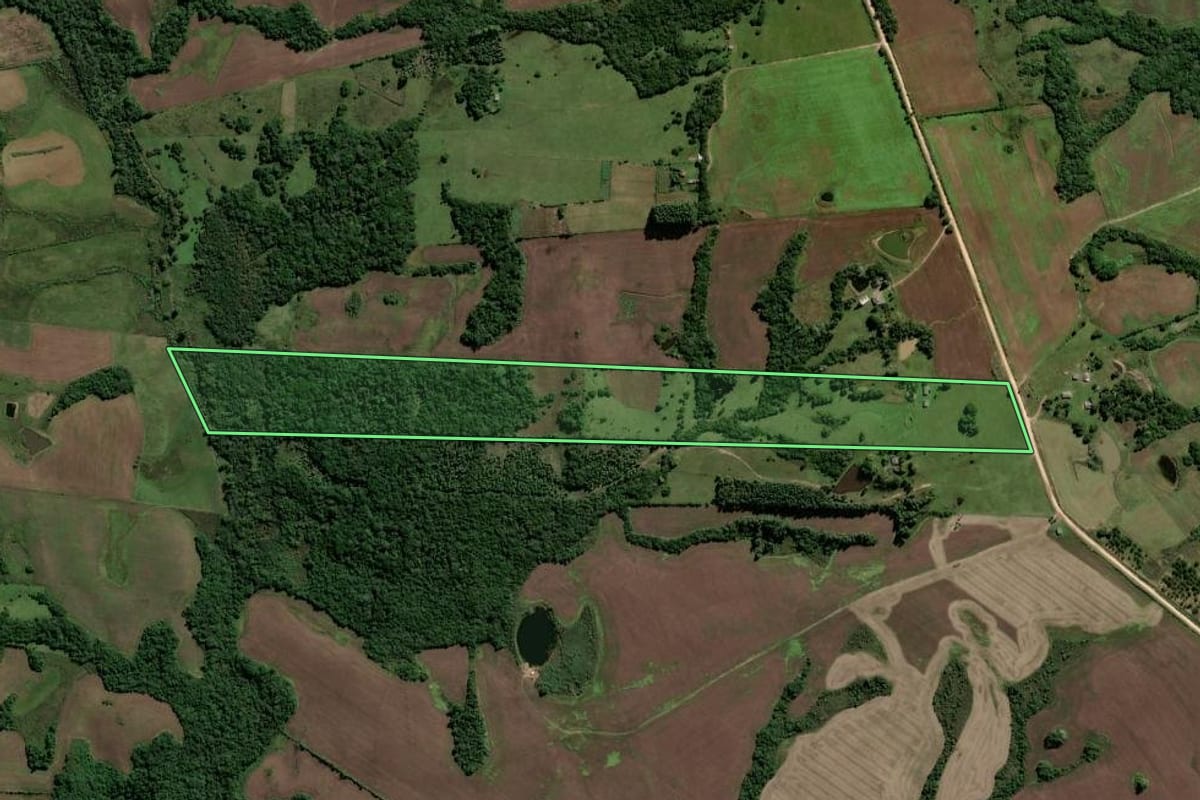 Imagem de satélite do imóvel rural em Encruzilhada do Sul (RS), com o contorno declarado no CAR desenhado por cima.