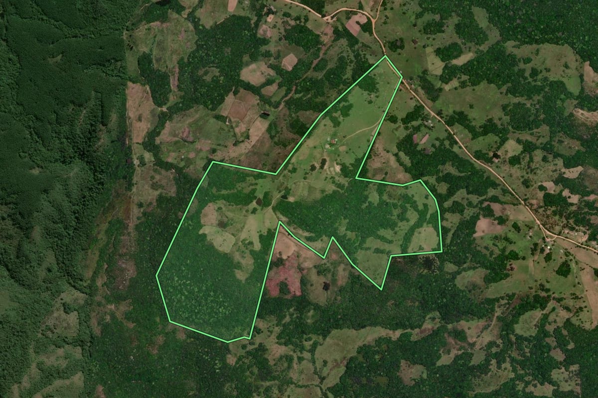 Imagem de satélite do imóvel rural em Encruzilhada do Sul (RS), com o contorno declarado no CAR desenhado por cima.