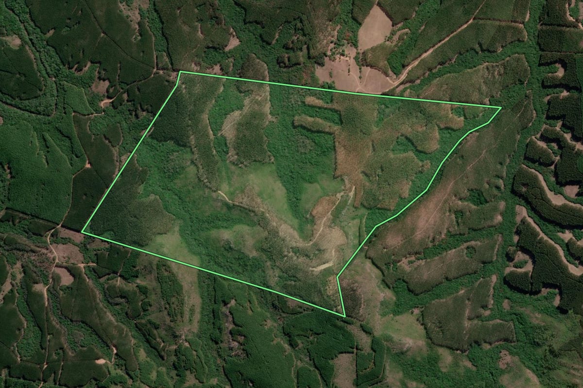 Imagem de satélite do imóvel rural em Encruzilhada do Sul (RS), com o contorno declarado no CAR desenhado por cima.