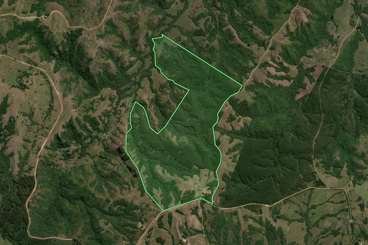 Imagem de satélite do imóvel rural em Encruzilhada do Sul (RS), com o contorno declarado no CAR desenhado por cima.