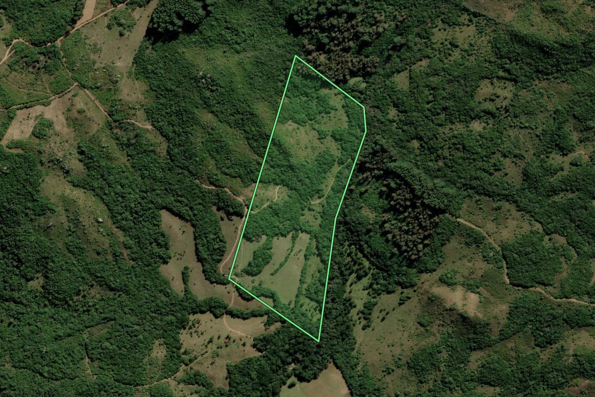 Imagem de satélite do imóvel rural em Encruzilhada do Sul (RS), com o contorno declarado no CAR desenhado por cima.