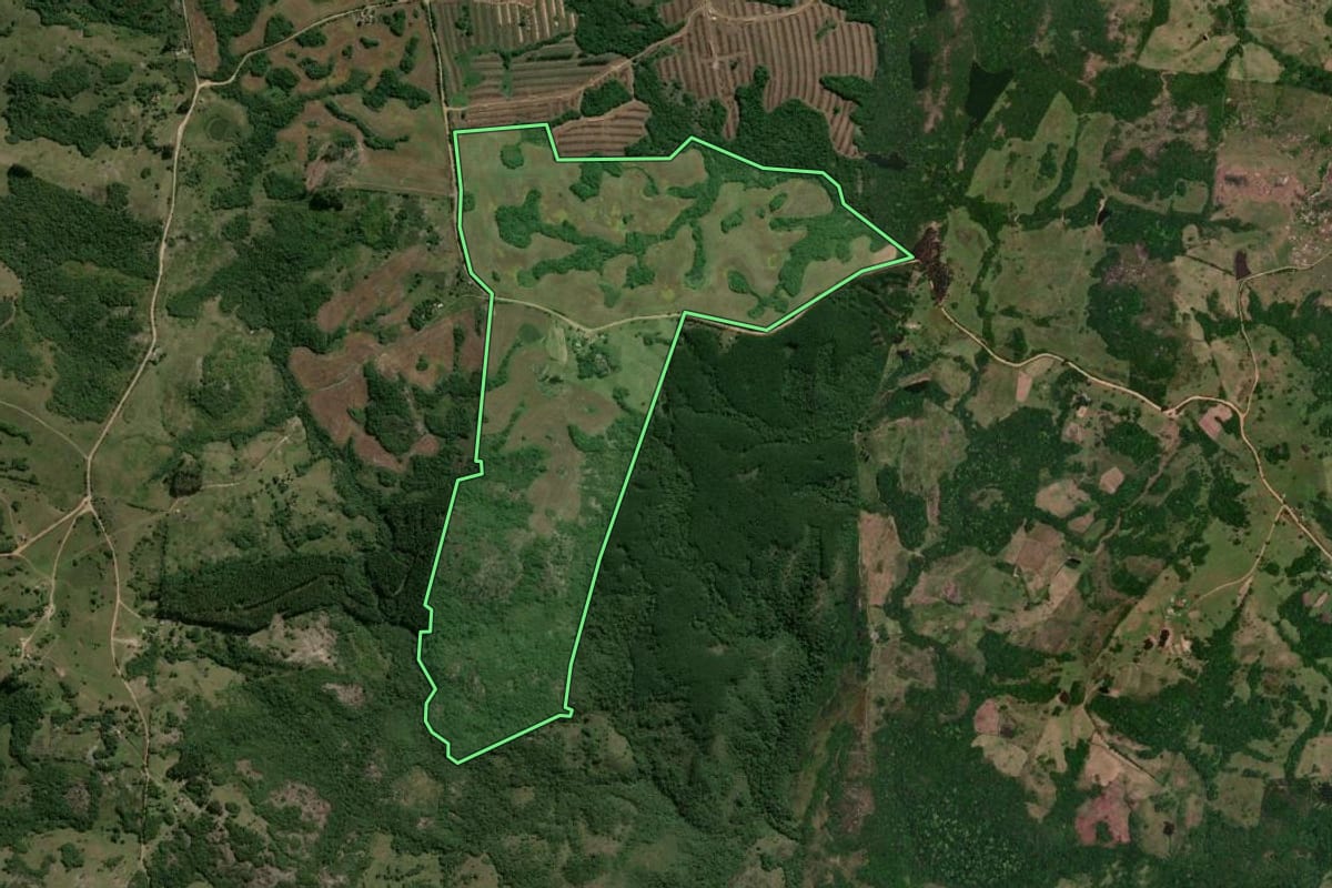 Imagem de satélite do imóvel rural em Encruzilhada do Sul (RS), com o contorno declarado no CAR desenhado por cima.