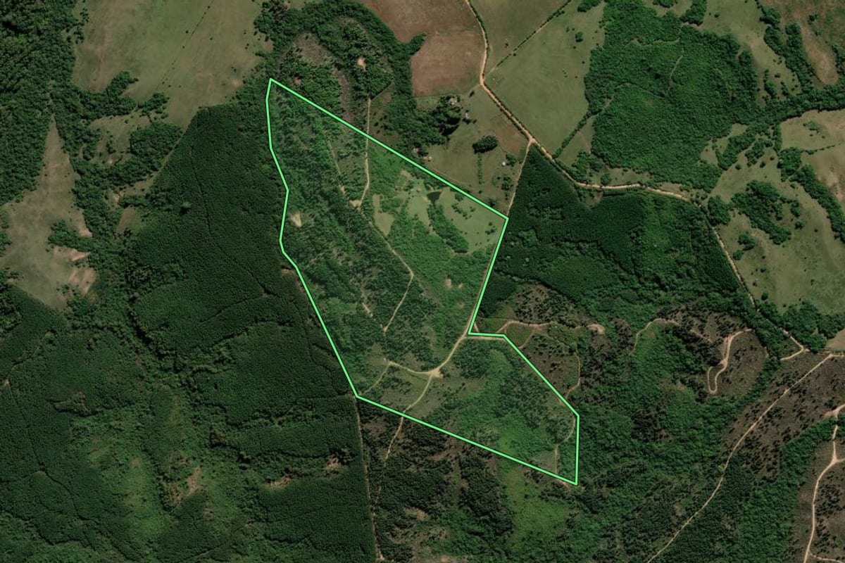 Imagem de satélite do imóvel rural em Encruzilhada do Sul (RS), com o contorno declarado no CAR desenhado por cima.