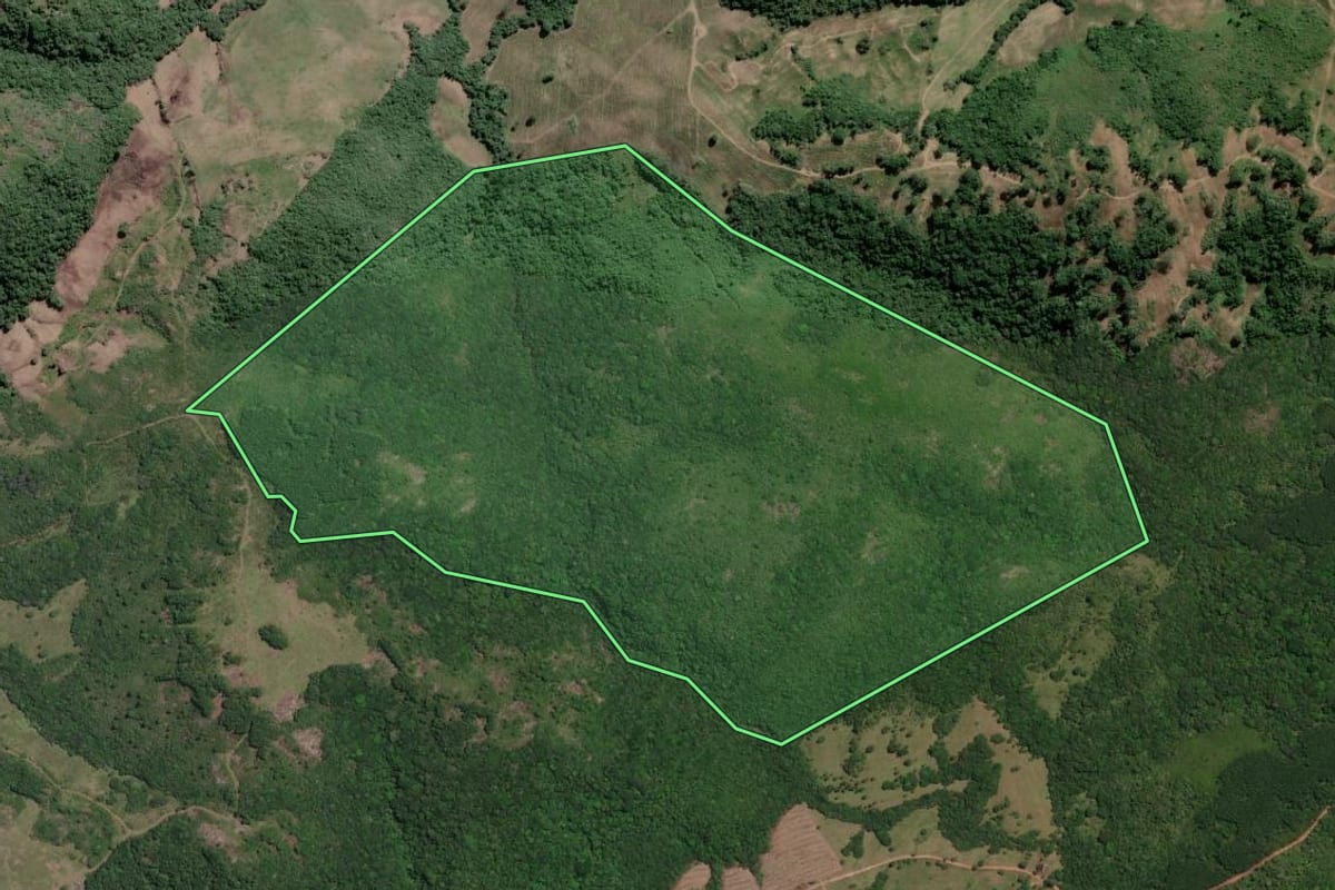 Imagem de satélite do imóvel rural em Encruzilhada do Sul (RS), com o contorno declarado no CAR desenhado por cima.