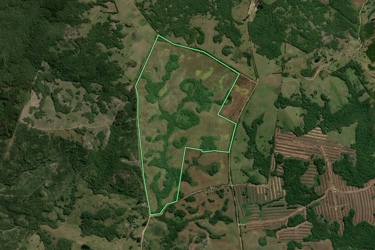 Imagem de satélite do imóvel rural em Encruzilhada do Sul (RS), com o contorno declarado no CAR desenhado por cima.