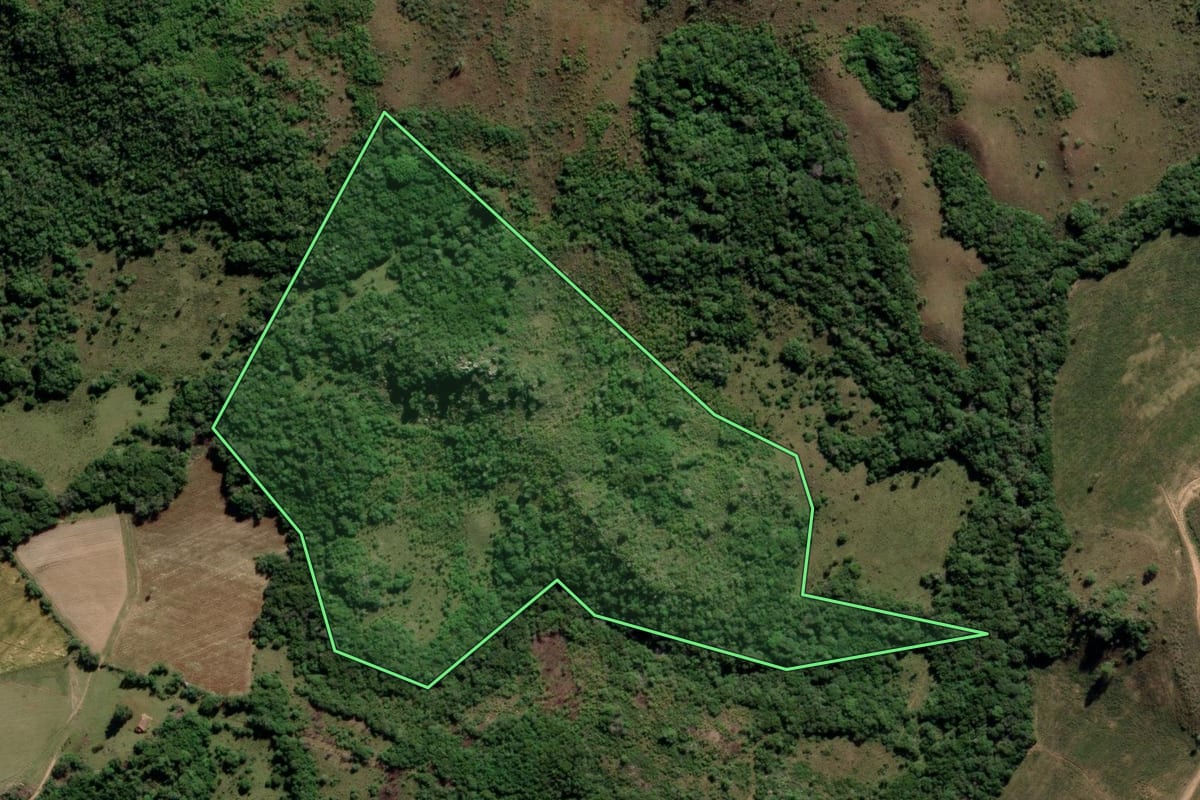 Imagem de satélite do imóvel rural em Encruzilhada do Sul (RS), com o contorno declarado no CAR desenhado por cima.