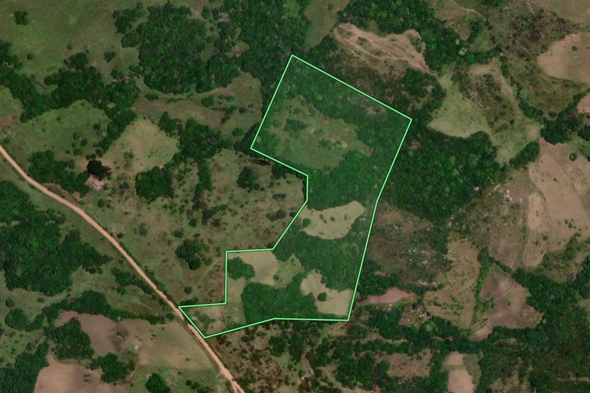 Imagem de satélite do imóvel rural em Encruzilhada do Sul (RS), com o contorno declarado no CAR desenhado por cima.
