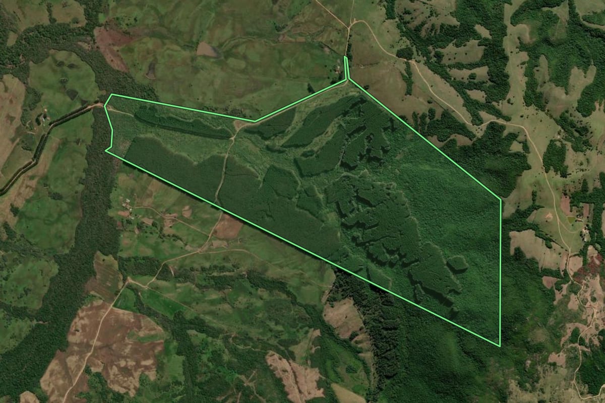 Imagem de satélite do imóvel rural em Encruzilhada do Sul (RS), com o contorno declarado no CAR desenhado por cima.