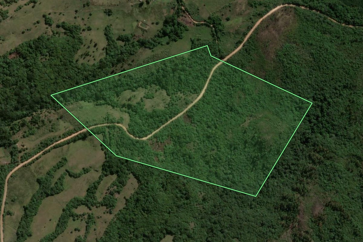 Imagem de satélite do imóvel rural em Encruzilhada do Sul (RS), com o contorno declarado no CAR desenhado por cima.