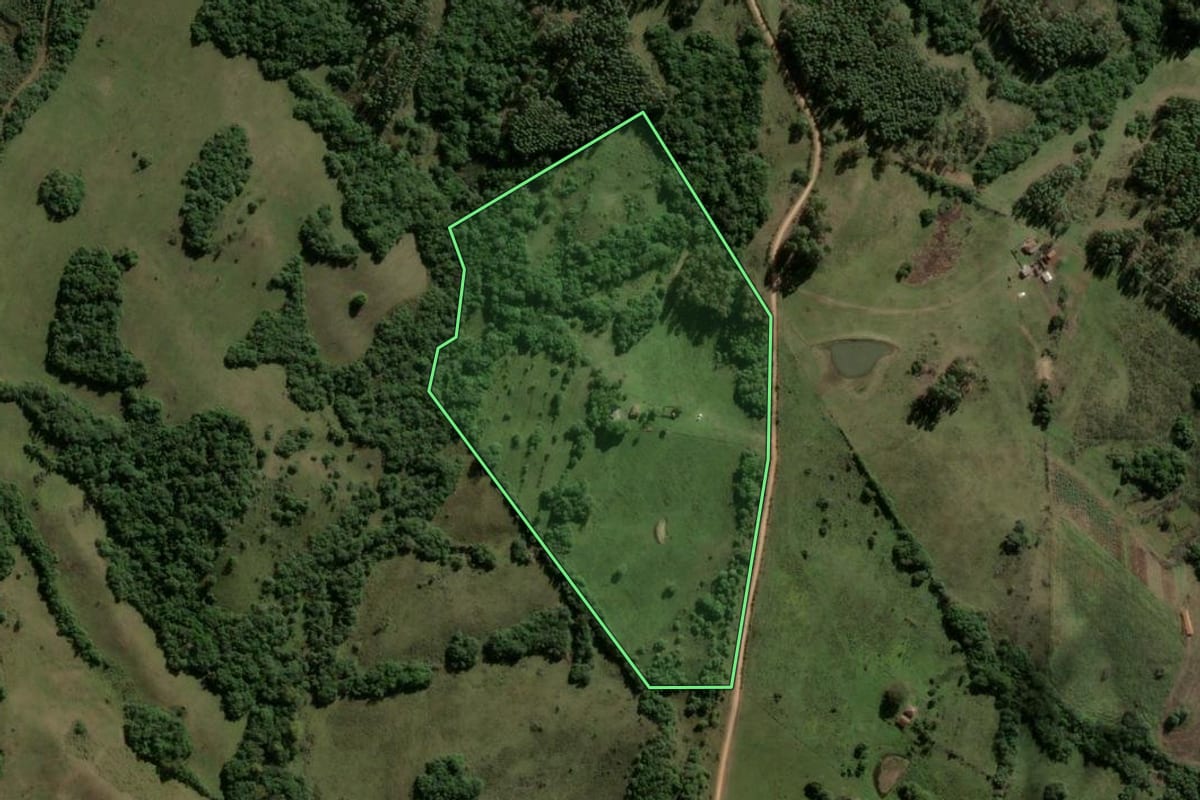Imagem de satélite do imóvel rural em Encruzilhada do Sul (RS), com o contorno declarado no CAR desenhado por cima.