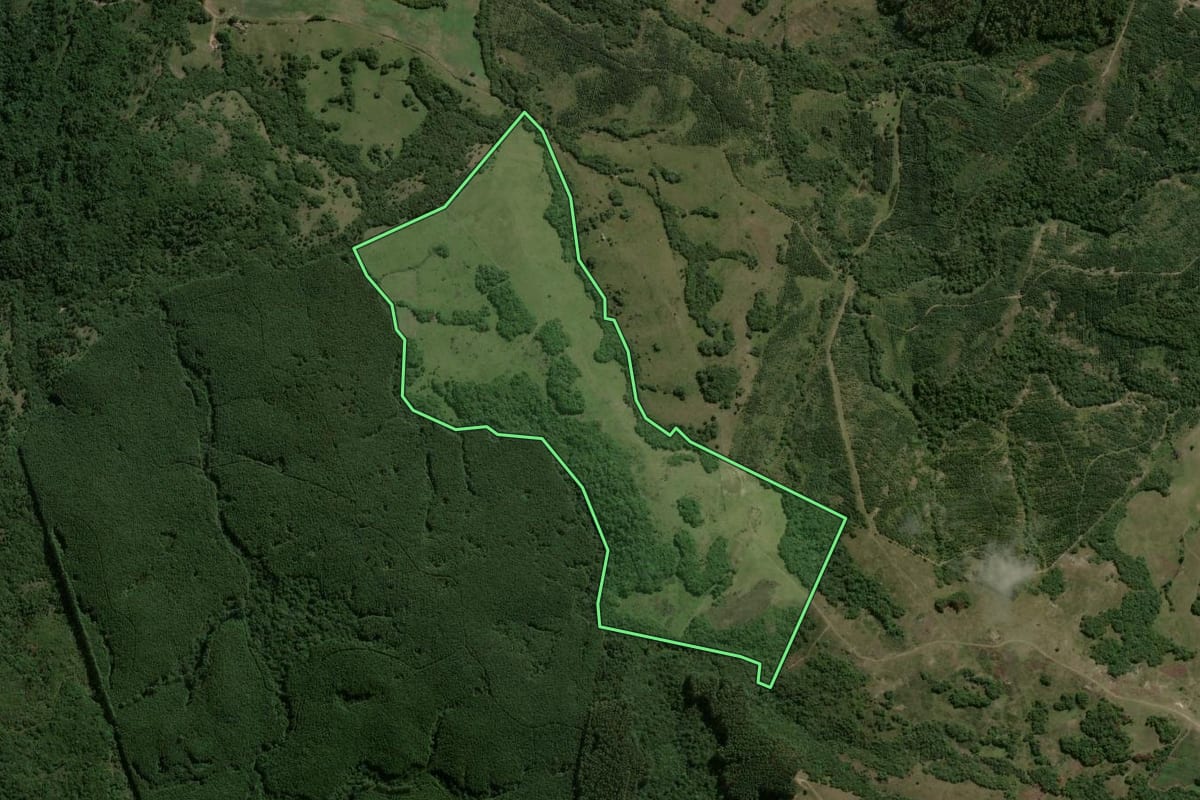 Imagem de satélite do imóvel rural em Encruzilhada do Sul (RS), com o contorno declarado no CAR desenhado por cima.