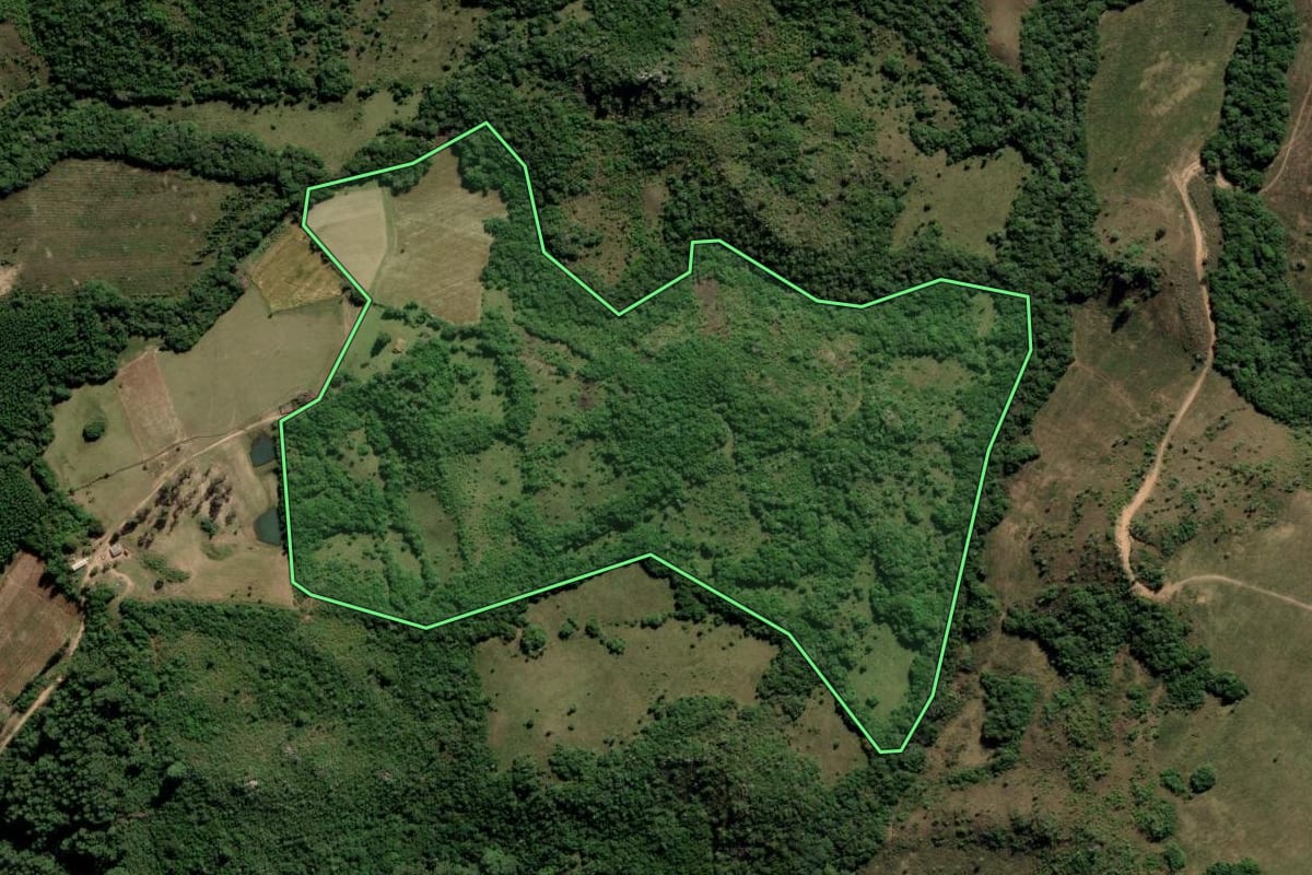 Imagem de satélite do imóvel rural em Encruzilhada do Sul (RS), com o contorno declarado no CAR desenhado por cima.