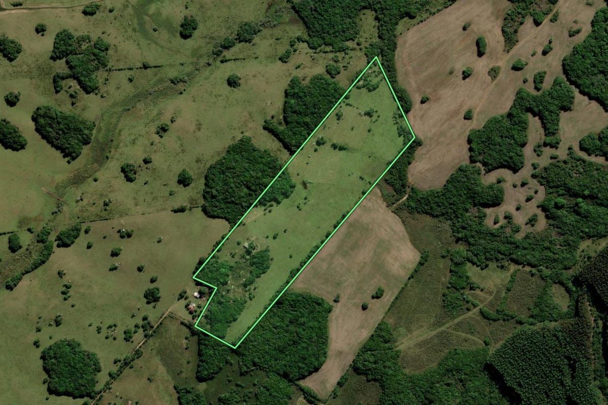 Imagem de satélite do imóvel rural em Encruzilhada do Sul (RS), com o contorno declarado no CAR desenhado por cima.