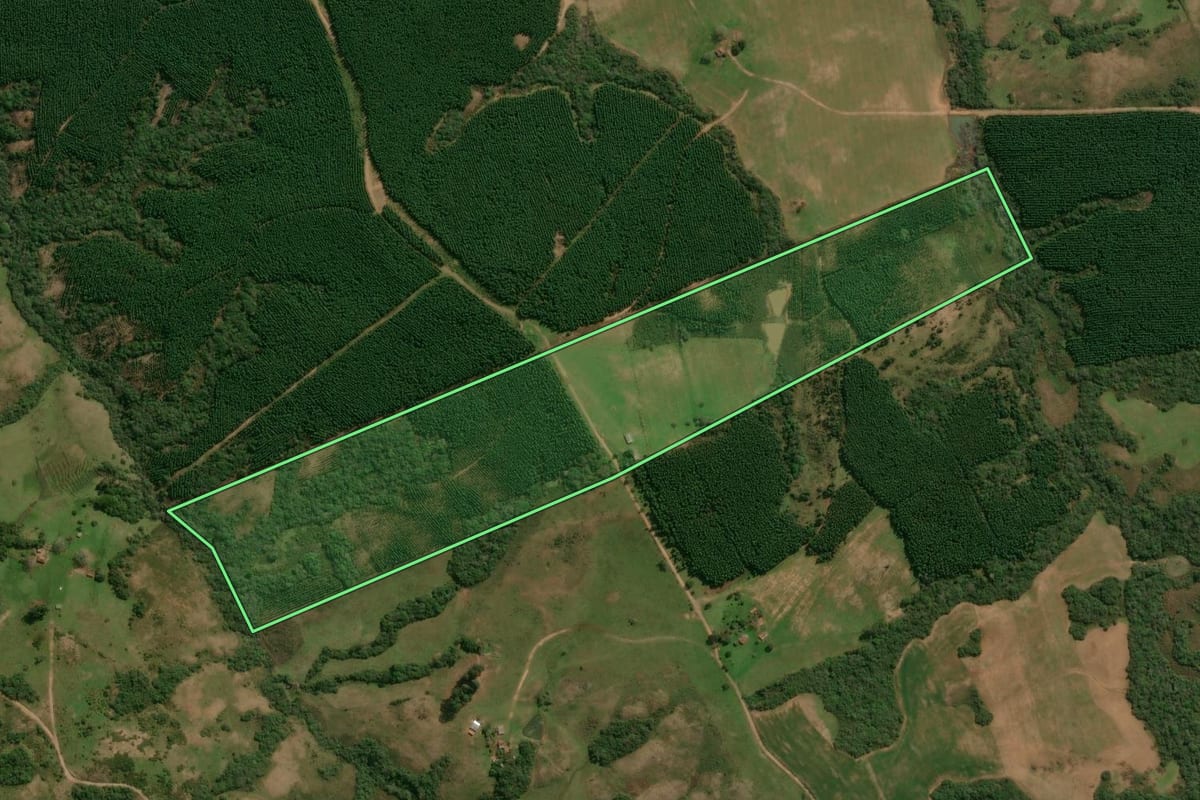 Imagem de satélite do imóvel rural em Encruzilhada do Sul (RS), com o contorno declarado no CAR desenhado por cima.