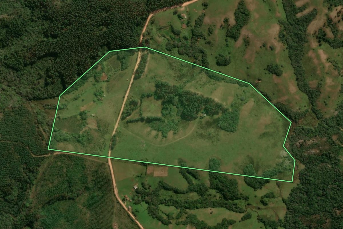 Imagem de satélite do imóvel rural em Encruzilhada do Sul (RS), com o contorno declarado no CAR desenhado por cima.
