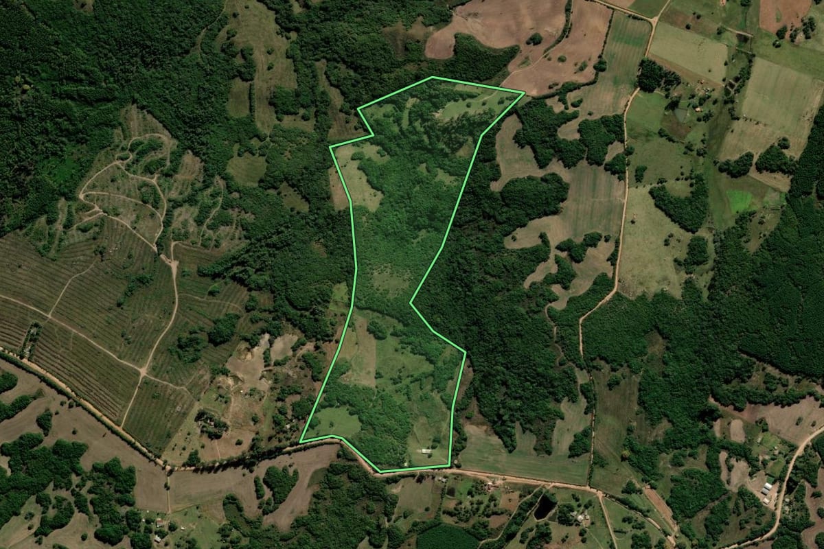 Imagem de satélite do imóvel rural em Encruzilhada do Sul (RS), com o contorno declarado no CAR desenhado por cima.