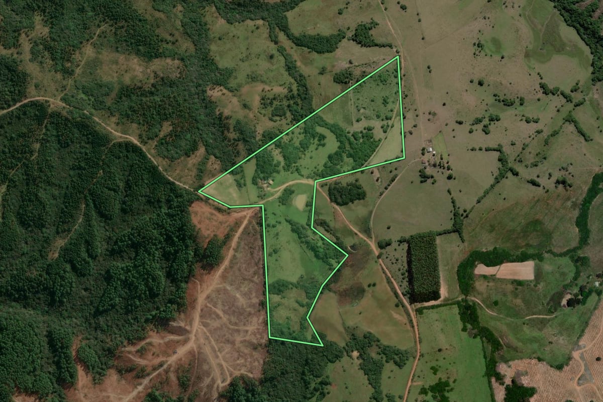 Imagem de satélite do imóvel rural em Encruzilhada do Sul (RS), com o contorno declarado no CAR desenhado por cima.