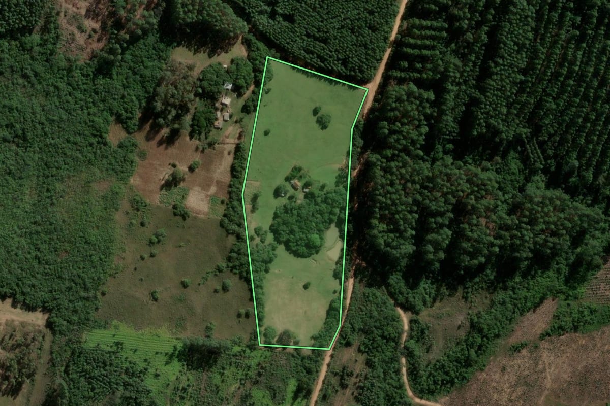 Imagem de satélite do imóvel rural em Encruzilhada do Sul (RS), com o contorno declarado no CAR desenhado por cima.
