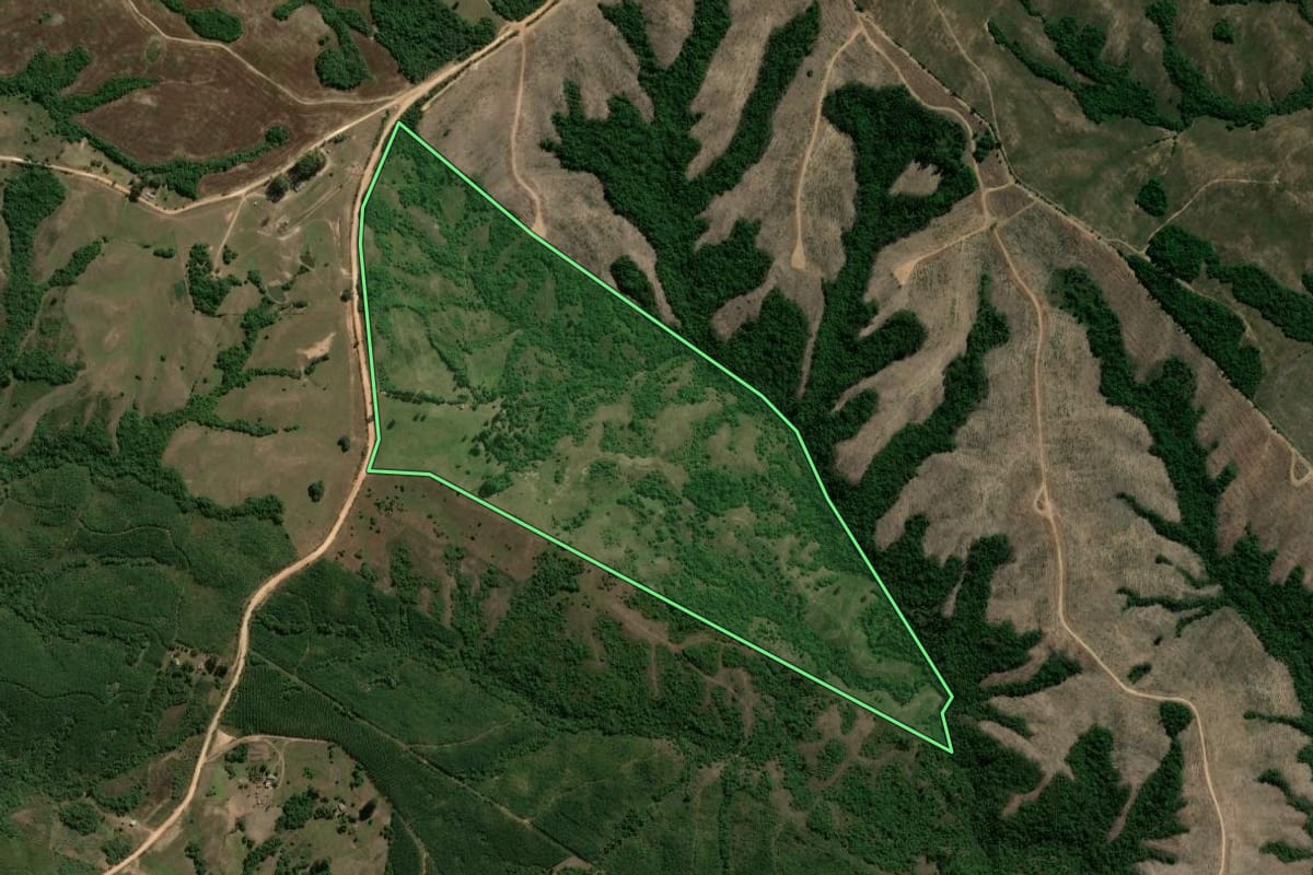 Imagem de satélite do imóvel rural em Encruzilhada do Sul (RS), com o contorno declarado no CAR desenhado por cima.