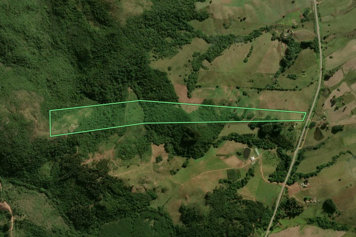 Imagem de satélite do imóvel rural em Encruzilhada do Sul (RS), com o contorno declarado no CAR desenhado por cima.