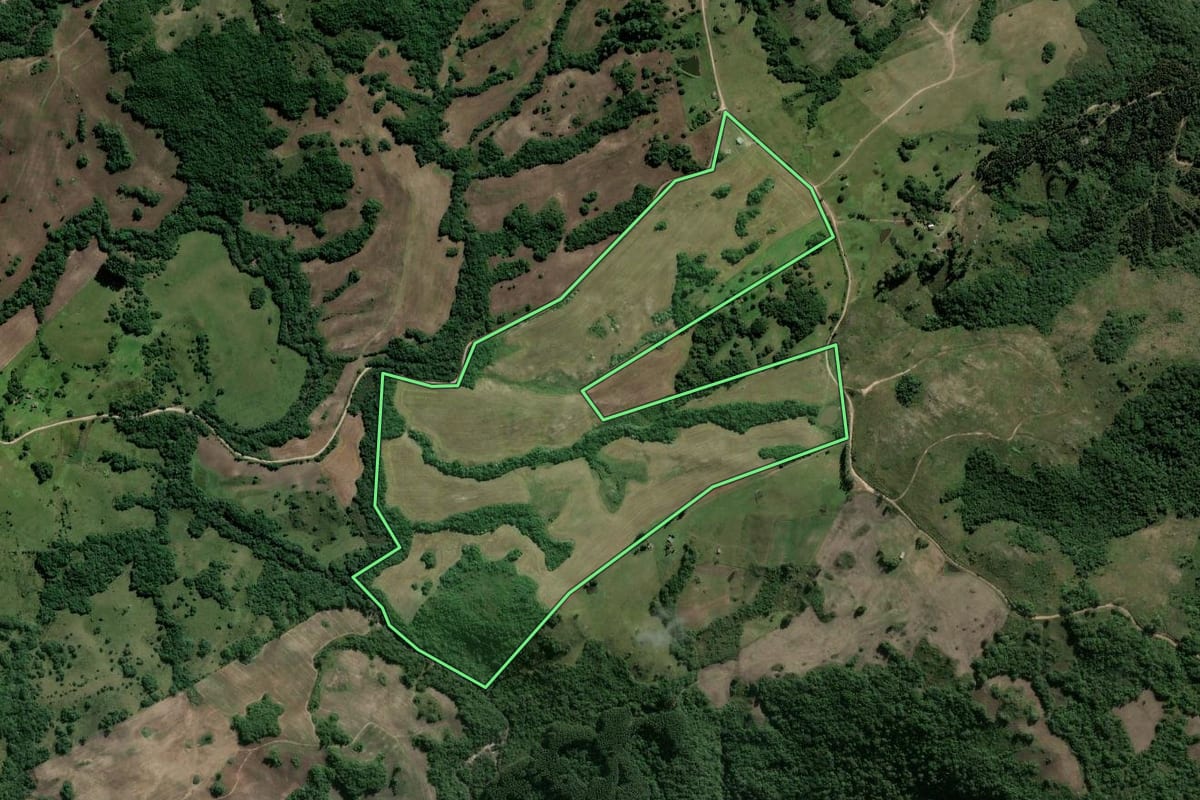 Imagem de satélite do imóvel rural em Encruzilhada do Sul (RS), com o contorno declarado no CAR desenhado por cima.