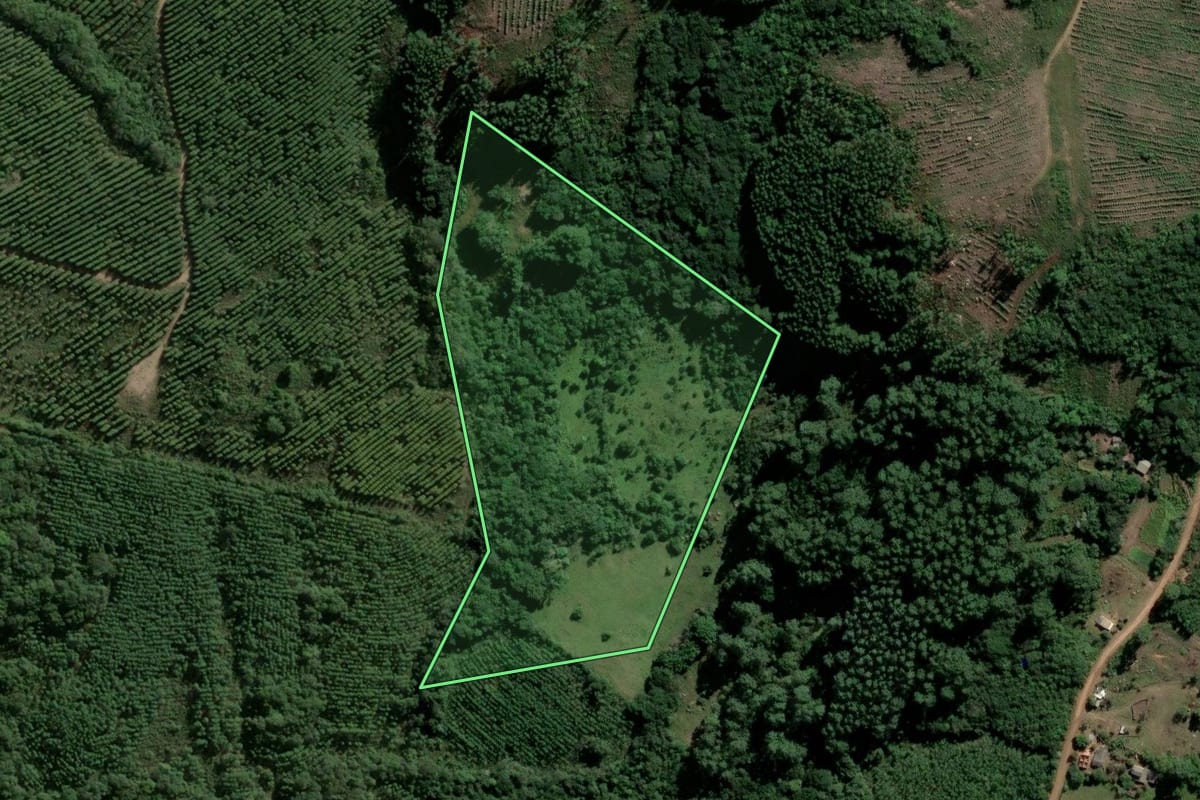 Imagem de satélite do imóvel rural em Encruzilhada do Sul (RS), com o contorno declarado no CAR desenhado por cima.