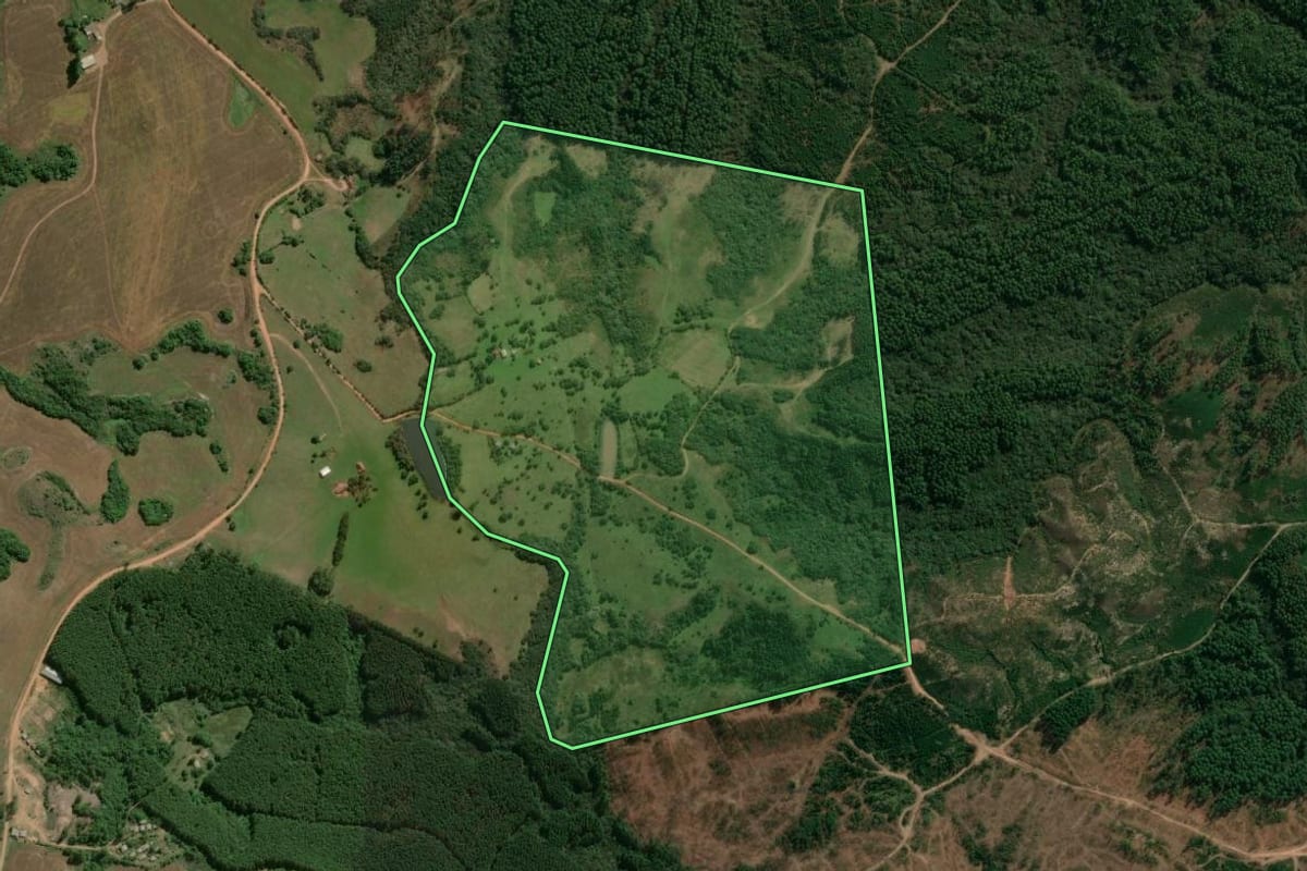 Imagem de satélite do imóvel rural em Encruzilhada do Sul (RS), com o contorno declarado no CAR desenhado por cima.