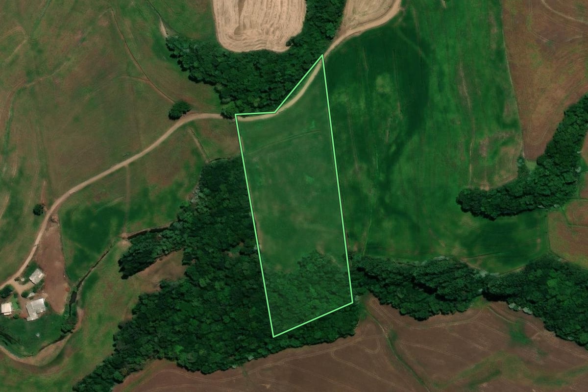 Imagem de satélite do imóvel rural em Engenho Velho (RS), com o contorno declarado no CAR desenhado por cima.