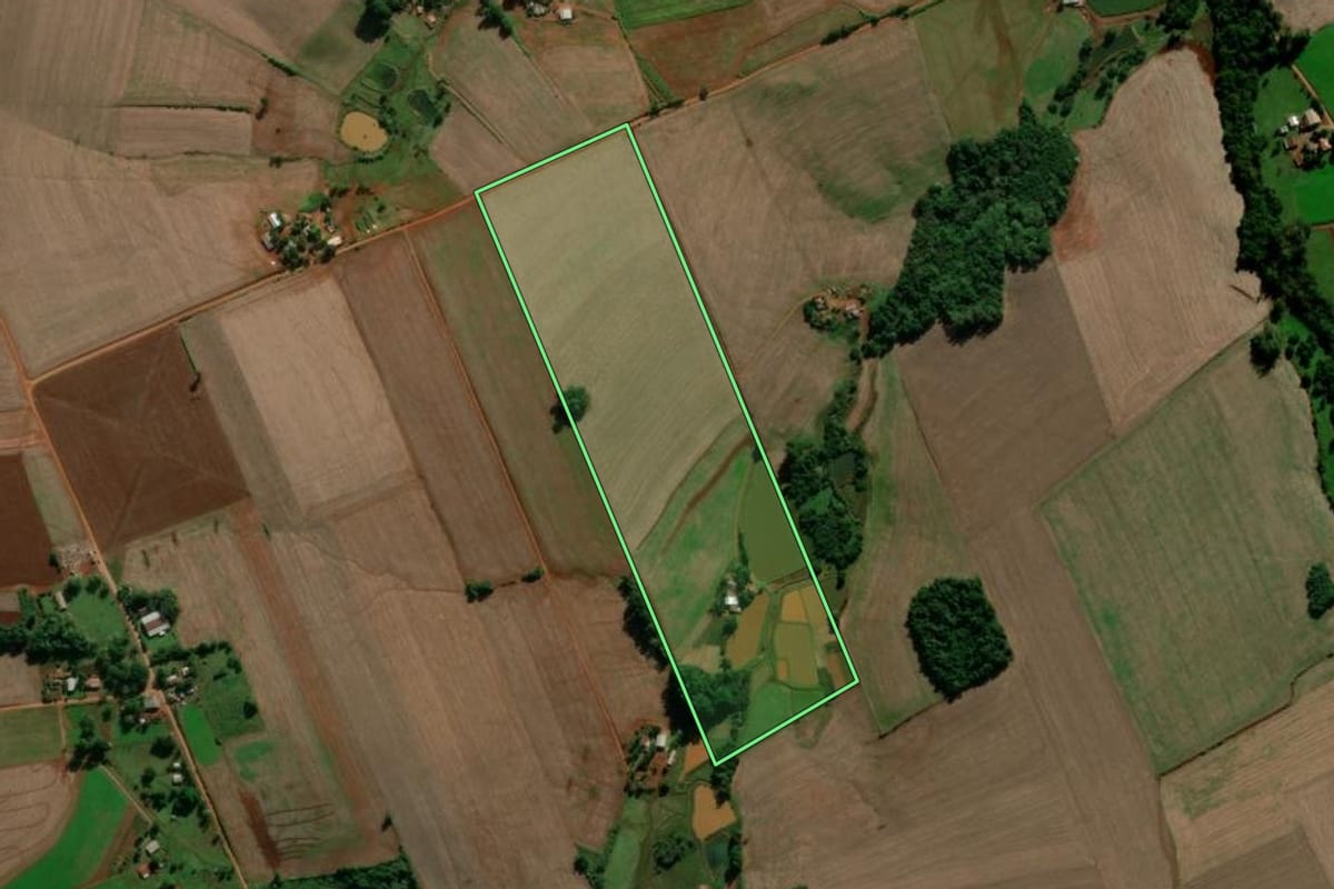 Imagem de satélite do imóvel rural em Entre-Ijuís (RS), com o contorno declarado no CAR desenhado por cima.