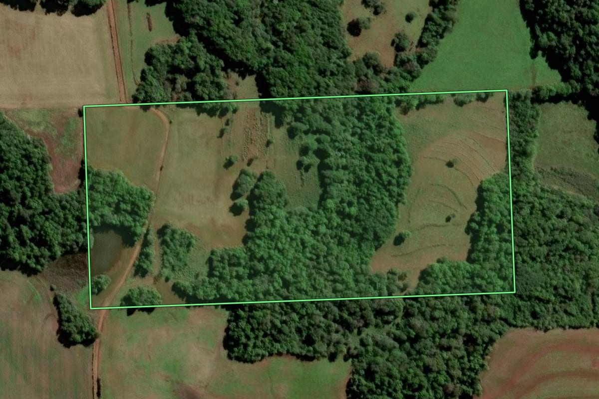 Imagem de satélite do imóvel rural em Entre-Ijuís (RS), com o contorno declarado no CAR desenhado por cima.