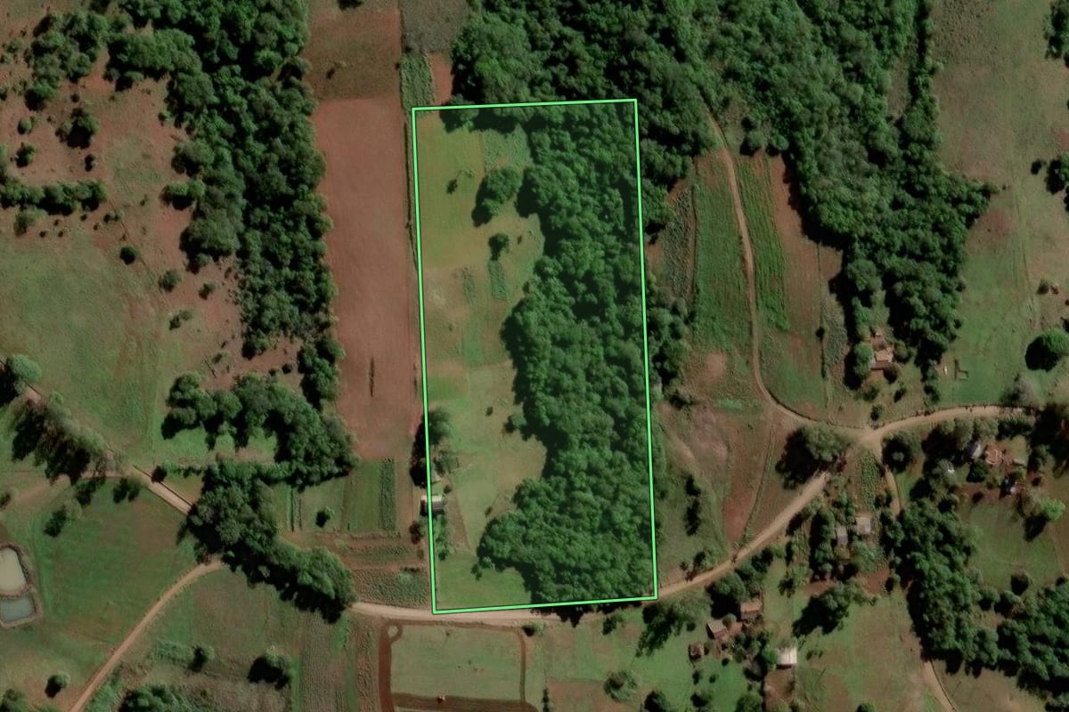 Imagem de satélite do imóvel rural em Entre-Ijuís (RS), com o contorno declarado no CAR desenhado por cima.