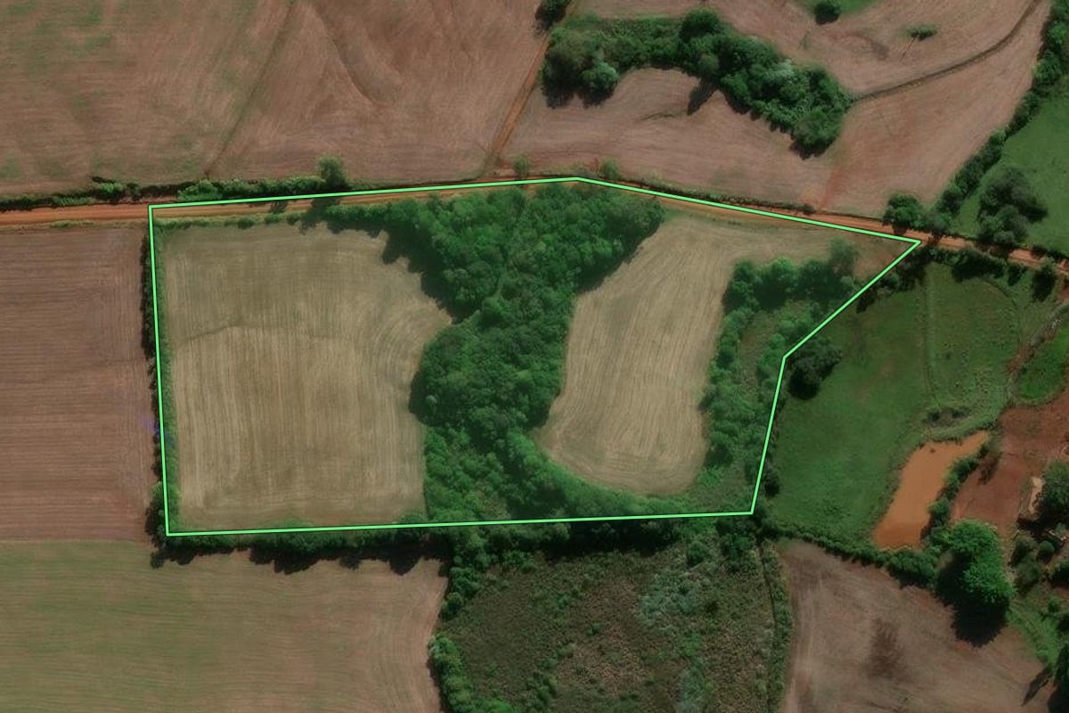 Imagem de satélite do imóvel rural em Entre-Ijuís (RS), com o contorno declarado no CAR desenhado por cima.