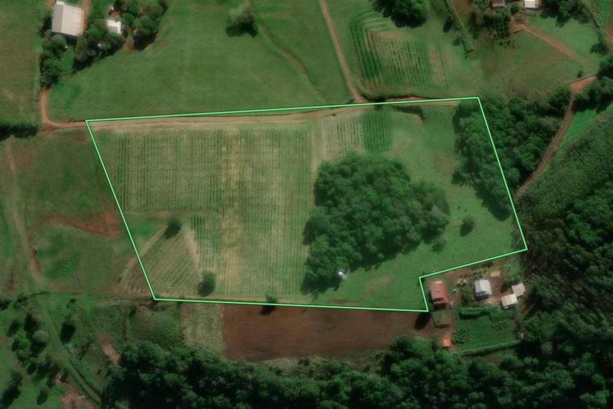 Imagem de satélite do imóvel rural em Entre-Ijuís (RS), com o contorno declarado no CAR desenhado por cima.