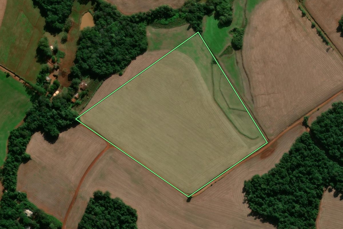 Imagem de satélite do imóvel rural em Entre-Ijuís (RS), com o contorno declarado no CAR desenhado por cima.