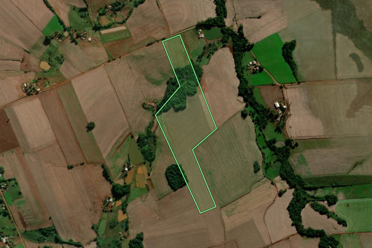 Imagem de satélite do imóvel rural em Entre-Ijuís (RS), com o contorno declarado no CAR desenhado por cima.