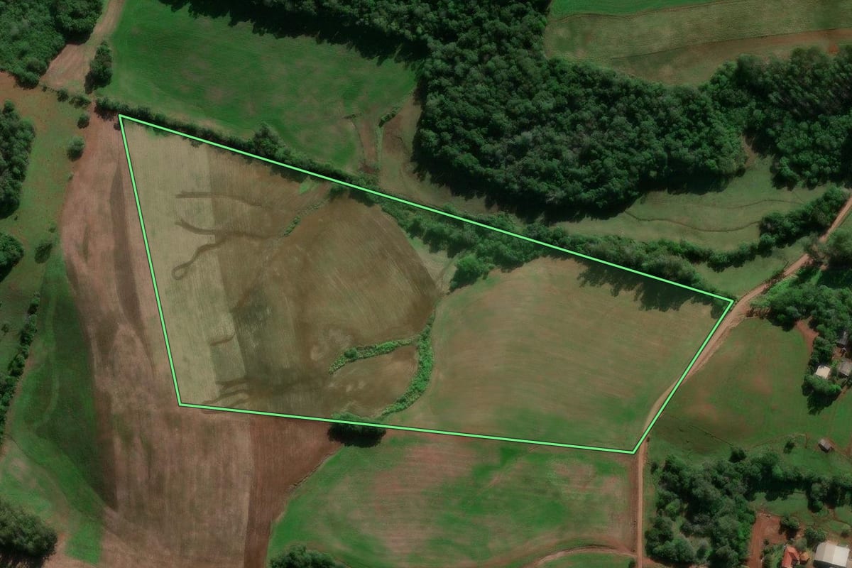 Imagem de satélite do imóvel rural em Entre-Ijuís (RS), com o contorno declarado no CAR desenhado por cima.