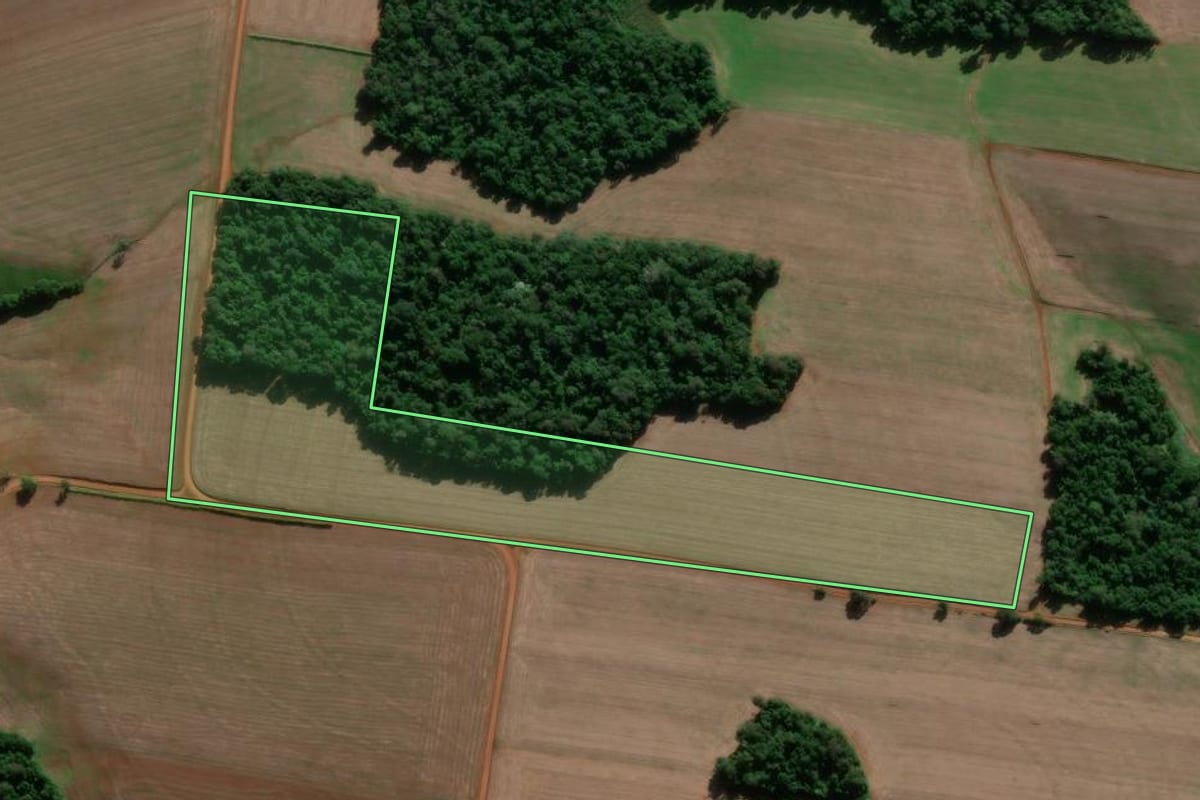 Imagem de satélite do imóvel rural em Entre-Ijuís (RS), com o contorno declarado no CAR desenhado por cima.