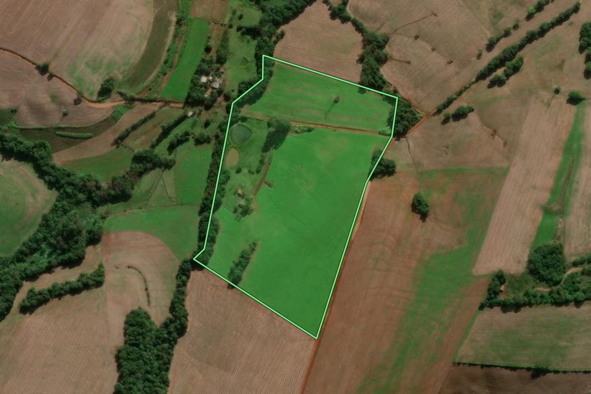Imagem de satélite do imóvel rural em Entre-Ijuís (RS), com o contorno declarado no CAR desenhado por cima.