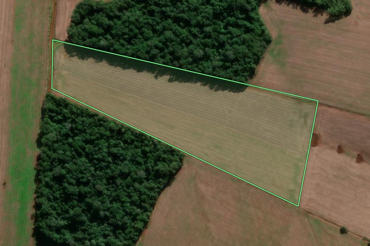Imagem de satélite do imóvel rural em Entre-Ijuís (RS), com o contorno declarado no CAR desenhado por cima.