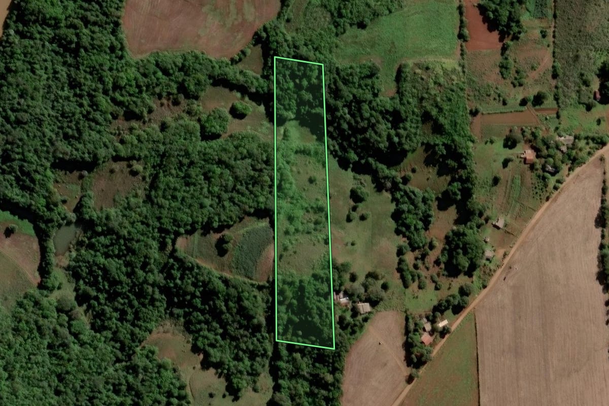 Imagem de satélite do imóvel rural em Entre-Ijuís (RS), com o contorno declarado no CAR desenhado por cima.