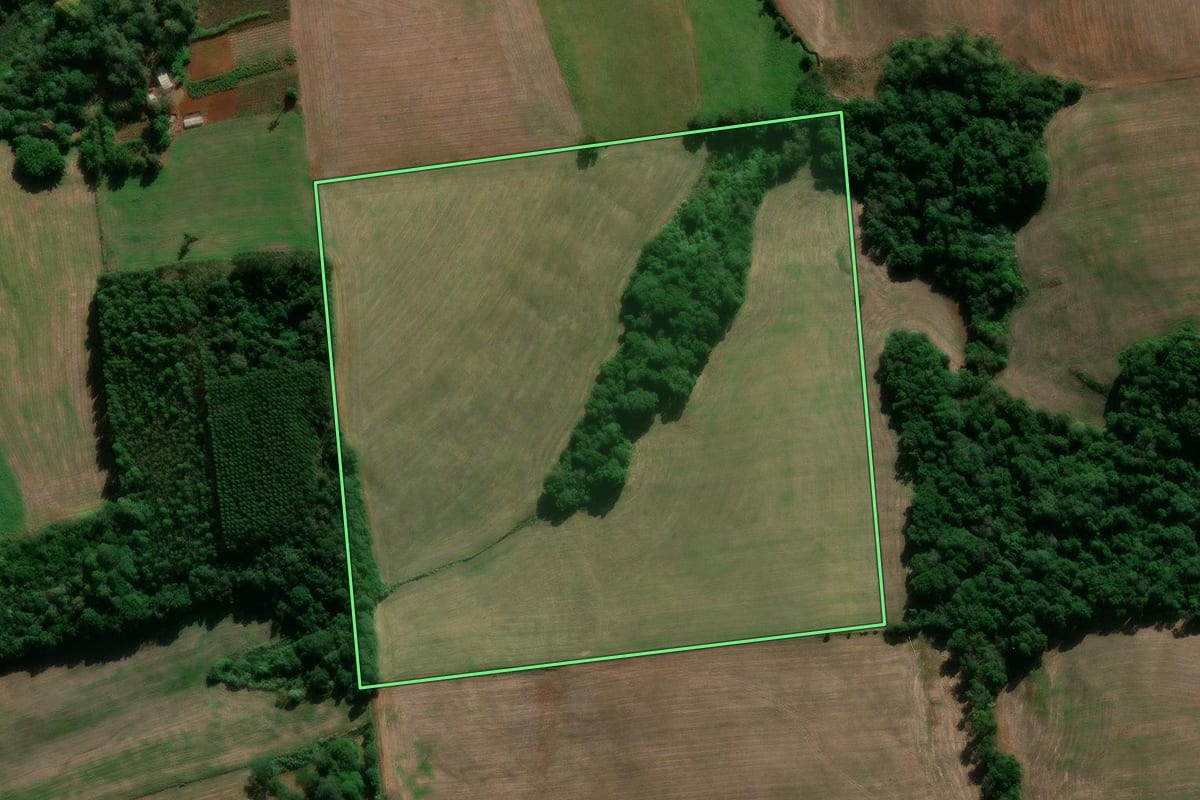Imagem de satélite do imóvel rural em Entre-Ijuís (RS), com o contorno declarado no CAR desenhado por cima.
