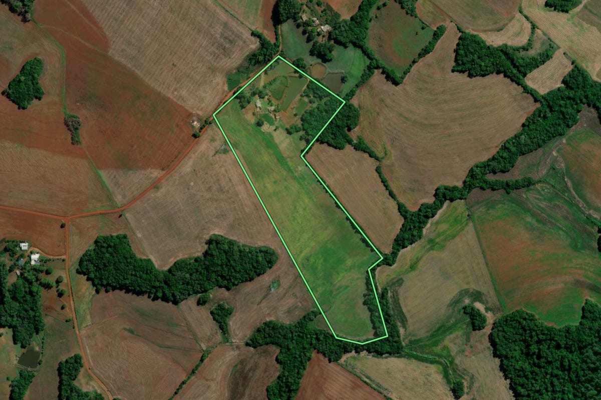 Imagem de satélite do imóvel rural em Entre-Ijuís (RS), com o contorno declarado no CAR desenhado por cima.