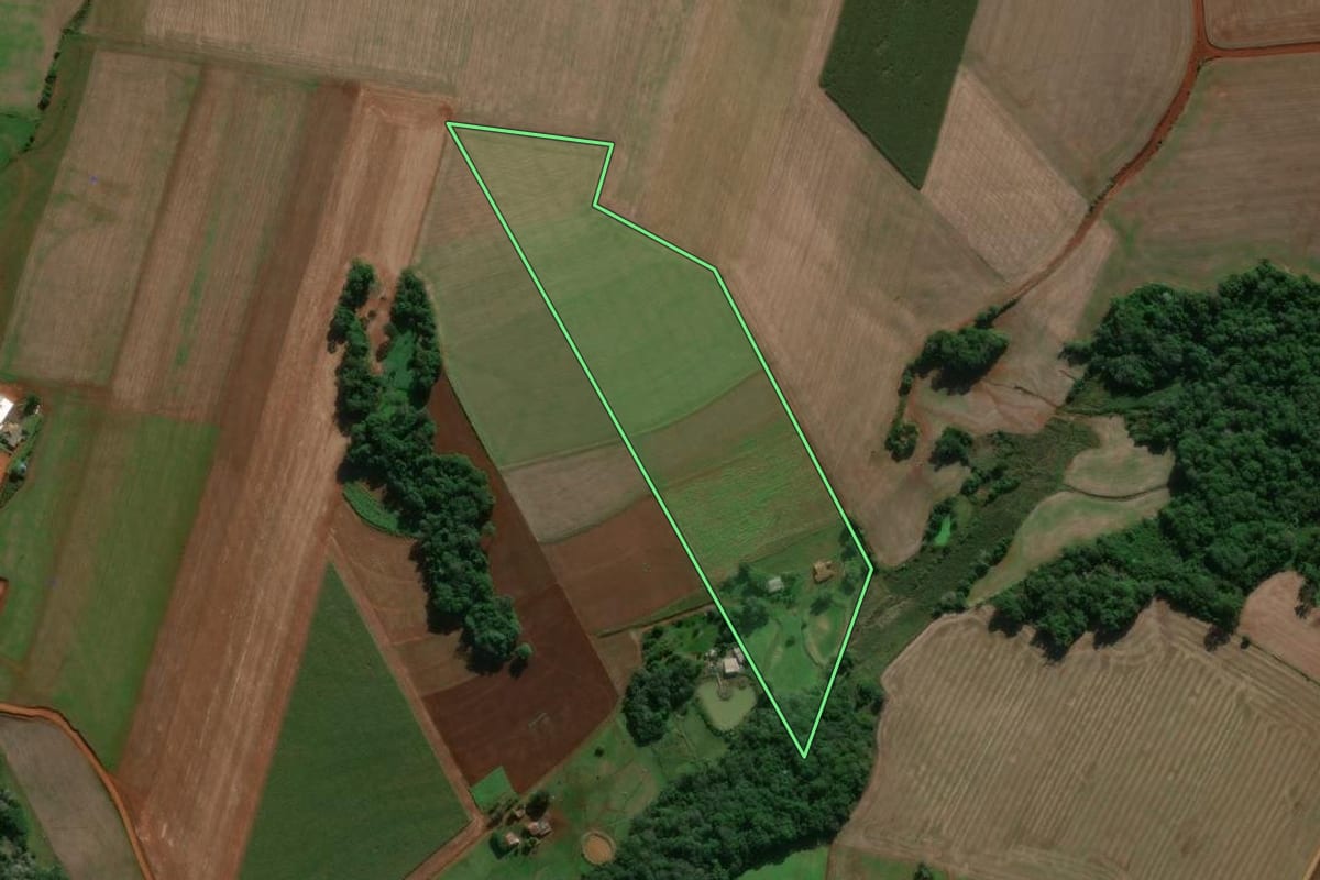 Imagem de satélite do imóvel rural em Entre-Ijuís (RS), com o contorno declarado no CAR desenhado por cima.