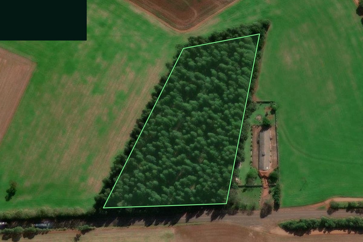 Imagem de satélite do imóvel rural em Entre-Ijuís (RS), com o contorno declarado no CAR desenhado por cima.
