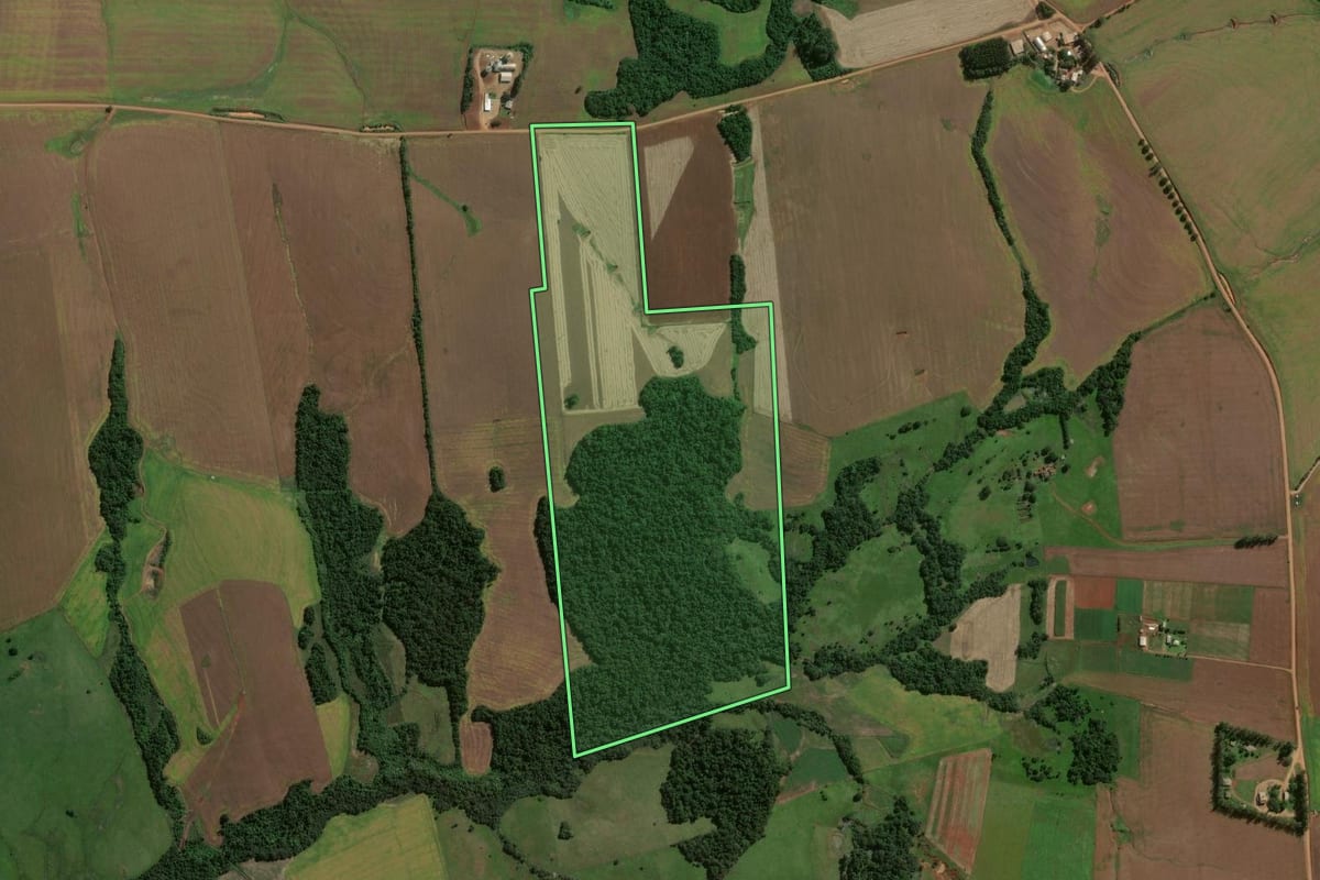 Imagem de satélite do imóvel rural em Entre-Ijuís (RS), com o contorno declarado no CAR desenhado por cima.