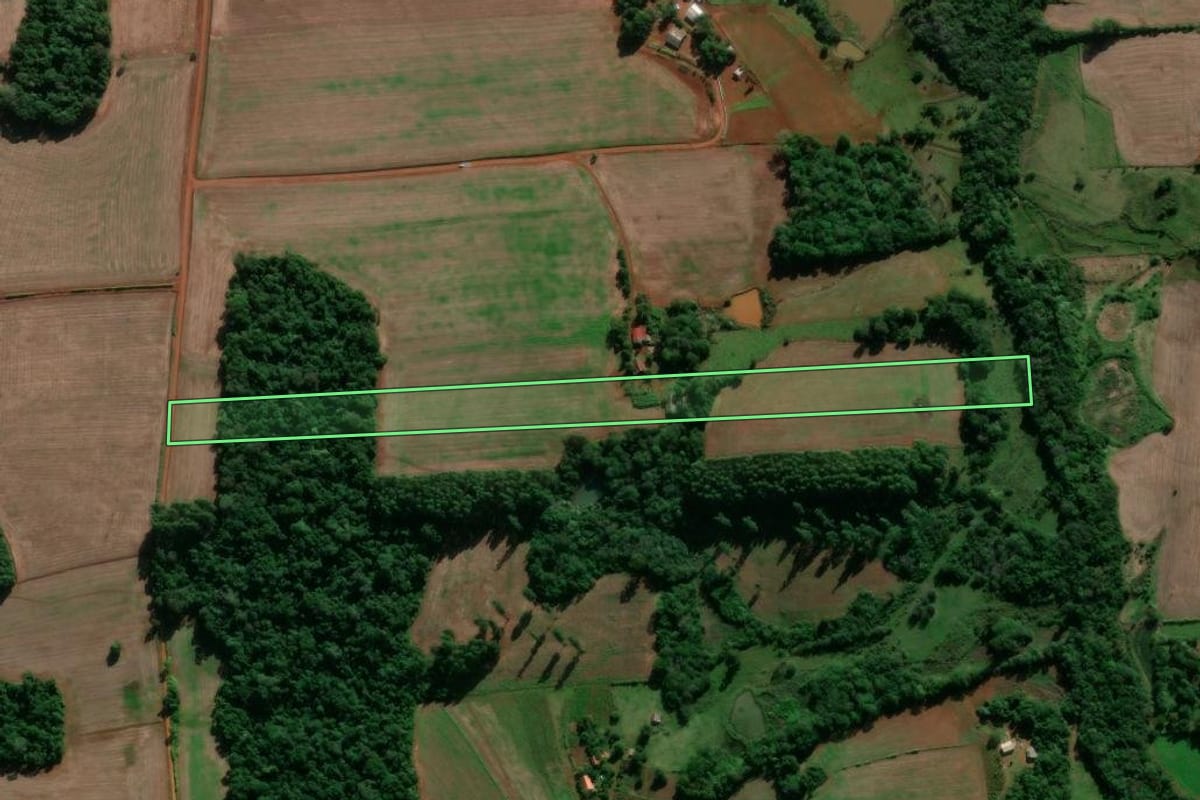Imagem de satélite do imóvel rural em Entre-Ijuís (RS), com o contorno declarado no CAR desenhado por cima.