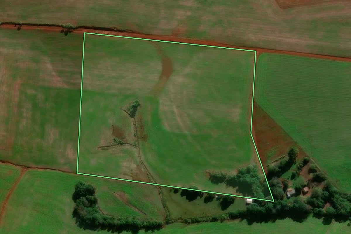 Imagem de satélite do imóvel rural em Entre-Ijuís (RS), com o contorno declarado no CAR desenhado por cima.