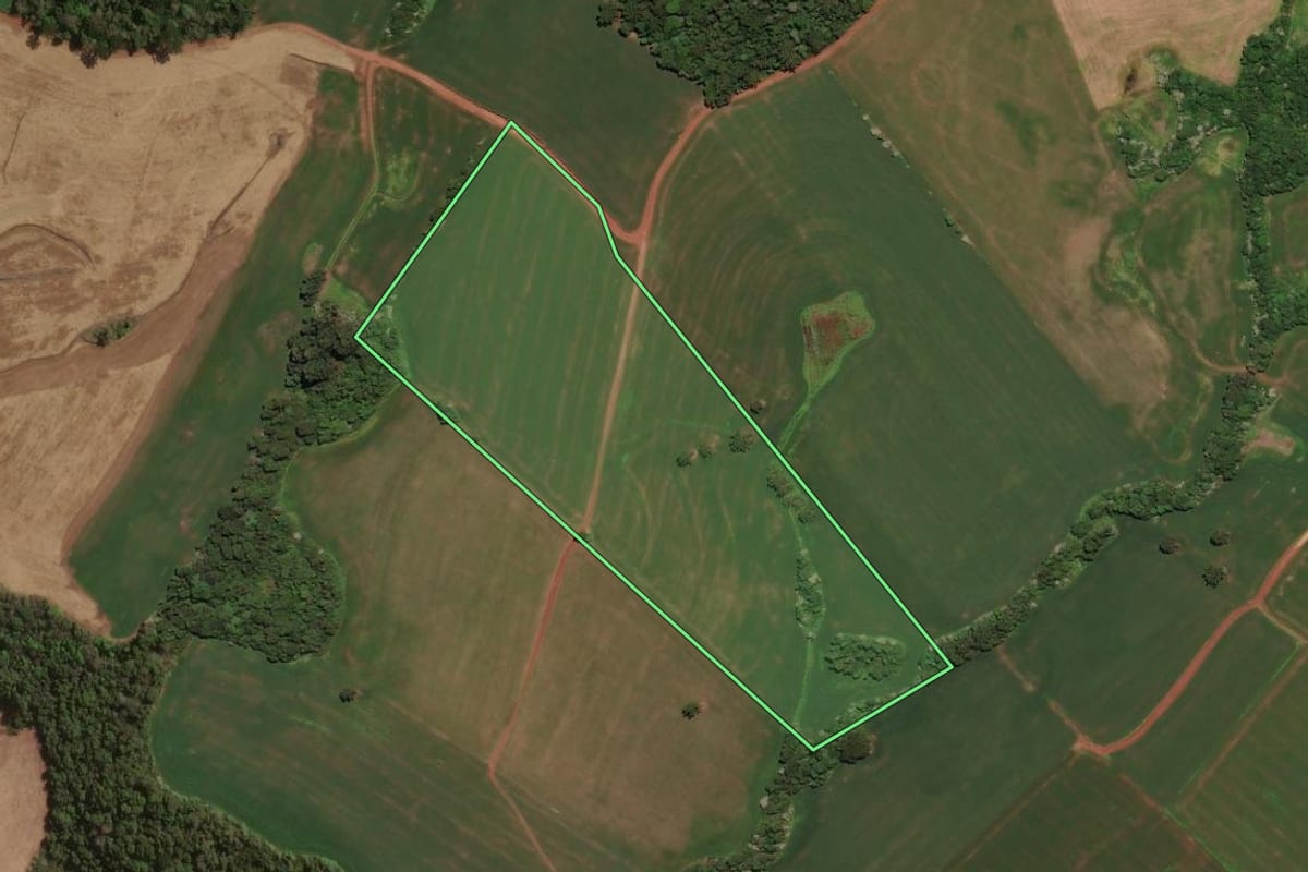 Imagem de satélite do imóvel rural em Entre Rios do Sul (RS), com o contorno declarado no CAR desenhado por cima.