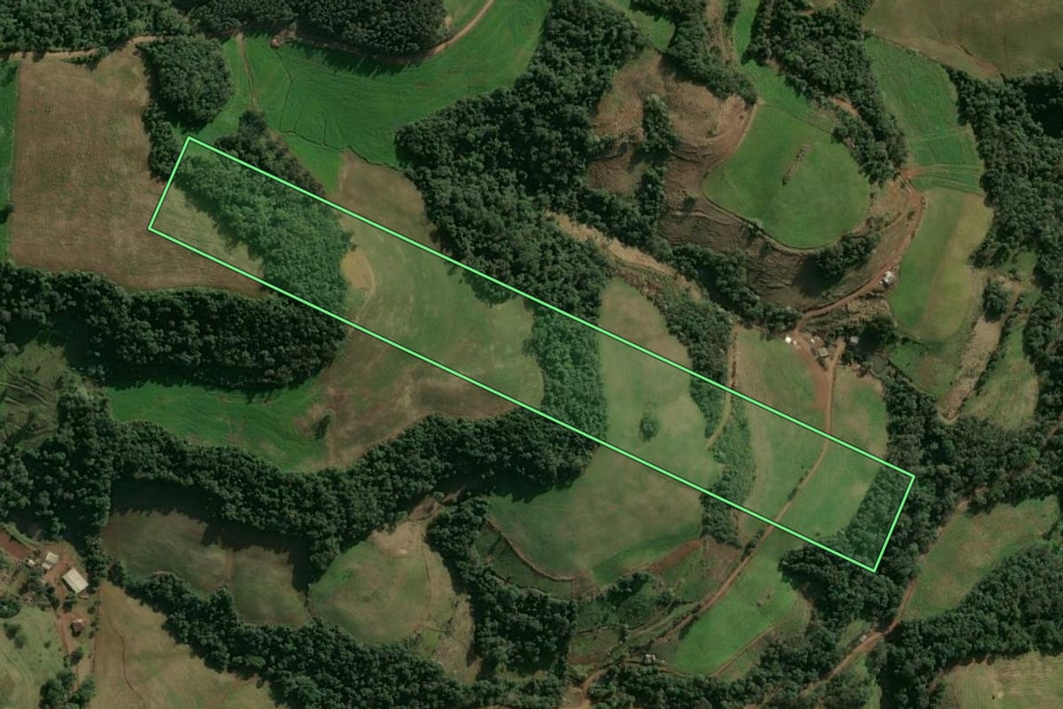 Imagem de satélite do imóvel rural em Entre Rios do Sul (RS), com o contorno declarado no CAR desenhado por cima.