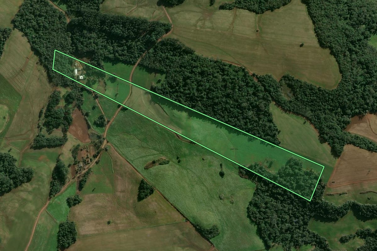 Imagem de satélite do imóvel rural em Entre Rios do Sul (RS), com o contorno declarado no CAR desenhado por cima.